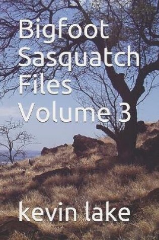 Cover of Bigfoot Sasquatch Files Volume 3