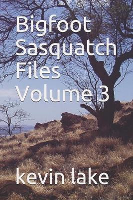 Book cover for Bigfoot Sasquatch Files Volume 3