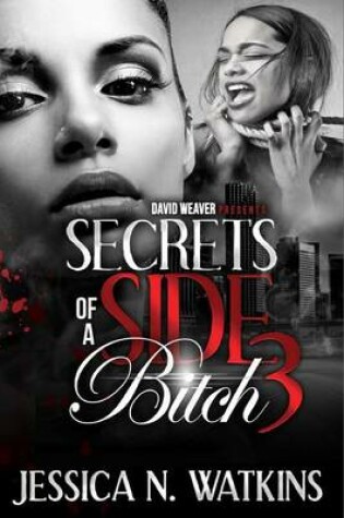 Cover of Secrets of a Side Bitch 3