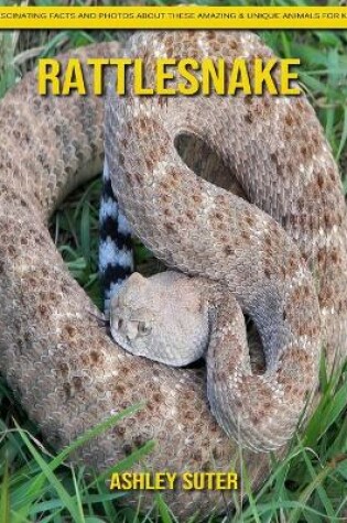 Cover of Rattlesnake