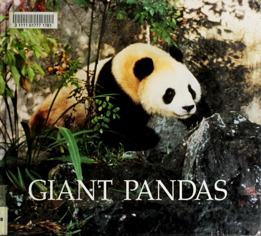 Cover of Giant Pandas