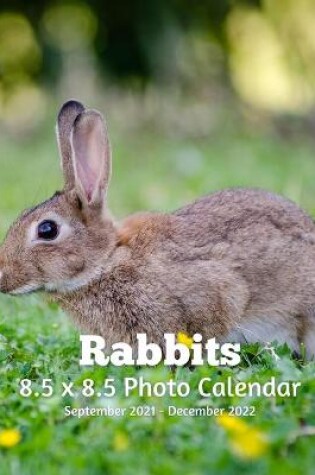 Cover of Rabbits 8.5 X 8.5 Calendar September 2021 -December 2022