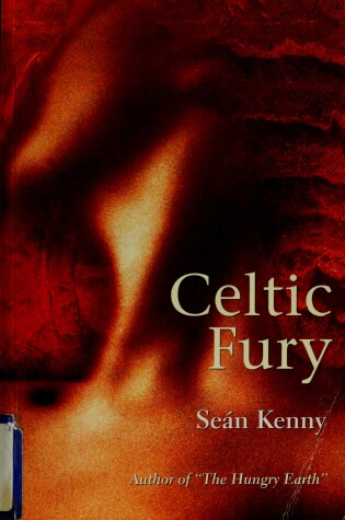 Cover of Celtic Fury