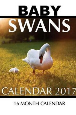 Cover of Baby Swans Calendar 2017