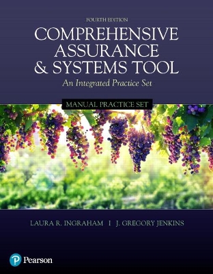 Book cover for Manual Practice Set for Comprehensive Assurance & Systems Tool (CAST)