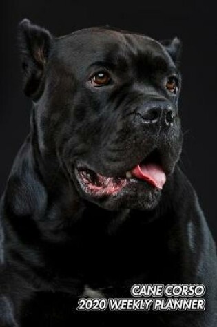 Cover of Cane Corso 2020 Weekly Planner