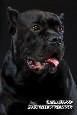 Book cover for Cane Corso 2020 Weekly Planner