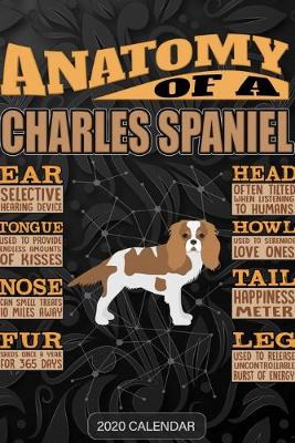Book cover for Anatomy Of A Charles Spaniel