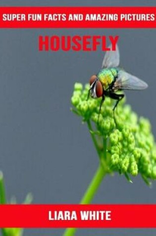 Cover of Housefly