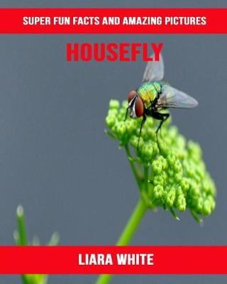 Book cover for Housefly