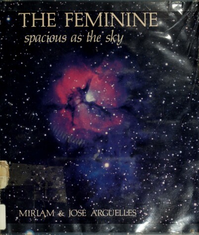 Book cover for The Feminine