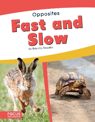 Book cover for Fast and Slow