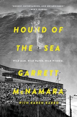 Book cover for Hound of the Sea