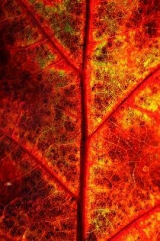 Cover of Journal Fall Leaf Autumn Foliage Close Up