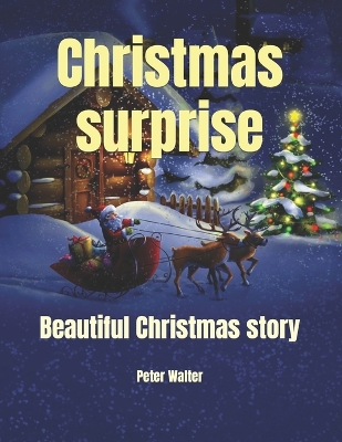 Book cover for Christmas surprise