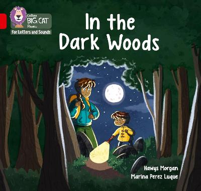 Cover of In the Dark Woods
