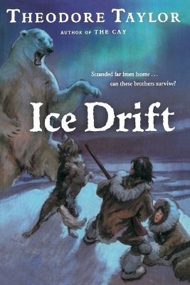 Book cover for Ice Drift