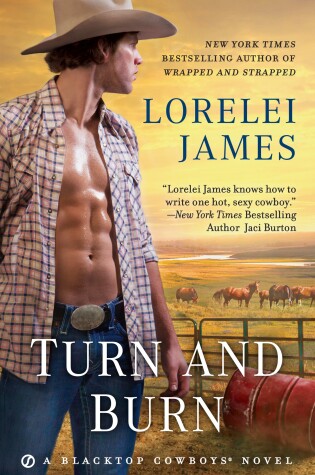Cover of Turn and Burn
