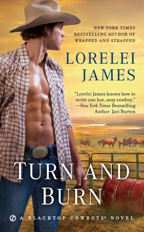 Book cover for Turn and Burn