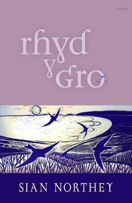 Book cover for Rhyd y Gro