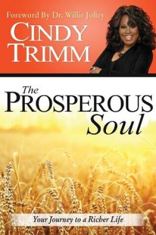 Cover of Prosperous Soul, The