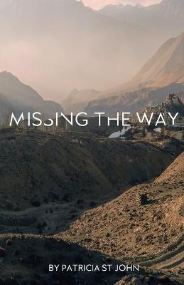 Book cover for Missing The Way