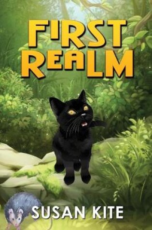 Cover of First Realm