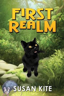 Book cover for First Realm