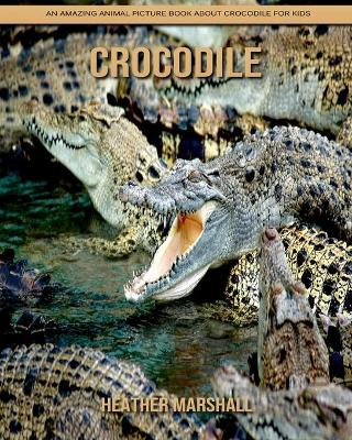 Book cover for Crocodile