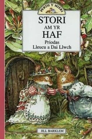Cover of Cyfres Perth y Mieri: Stori am yr Haf - Priodas Lleucu a Dai Llwch