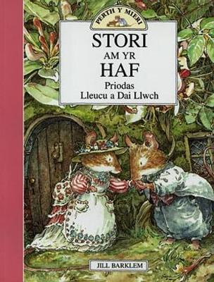 Book cover for Cyfres Perth y Mieri: Stori am yr Haf - Priodas Lleucu a Dai Llwch