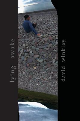 Book cover for Lying Awake