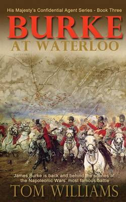 Book cover for Burke at Waterloo