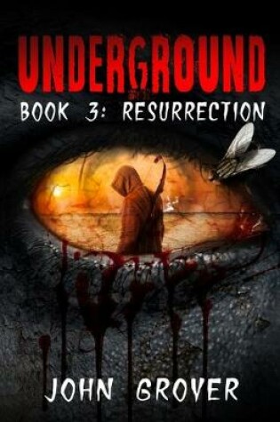 Cover of Underground Book 3