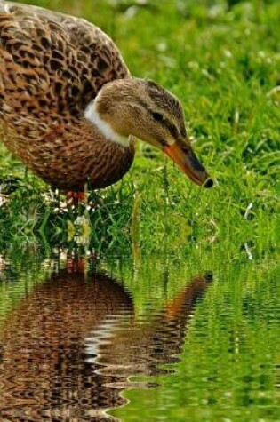 Cover of Duck and its Reflection in a Pond Journal