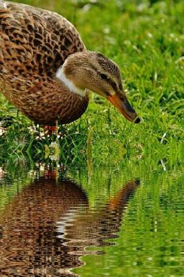 Book cover for Duck and its Reflection in a Pond Journal