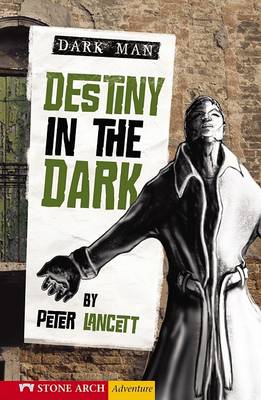 Book cover for Destiny in the Dark