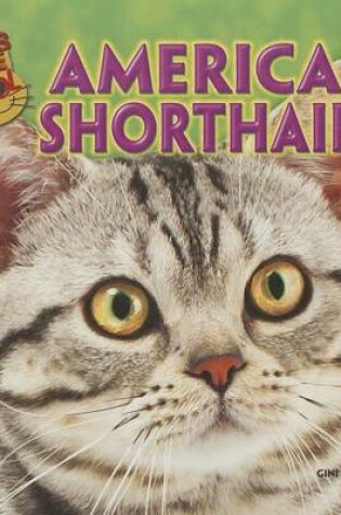 Cover of American Shorthairs