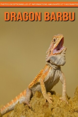 Cover of Dragon Barbu