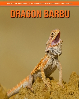 Book cover for Dragon Barbu