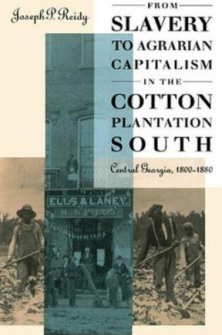 Cover of From Slavery to Agrarian Capitalism in the Cotton Plantation South