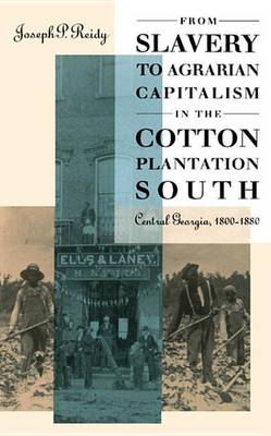 Book cover for From Slavery to Agrarian Capitalism in the Cotton Plantation South