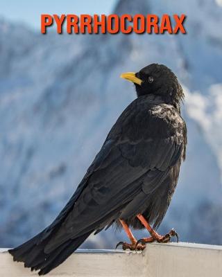 Book cover for Pyrrhocorax