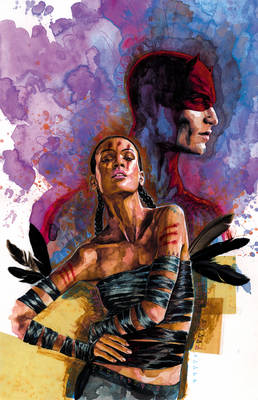 Book cover for Daredevil Echo: Vision Quest