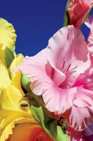 Cover of Stunning Pink and Yellow Gladiolus Journal