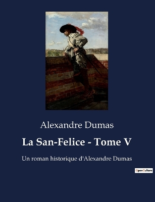 Book cover for La San-Felice - Tome V