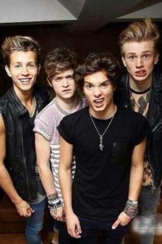 Cover of The Vamps Diary