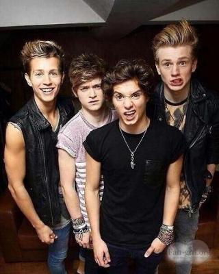 Book cover for The Vamps Diary