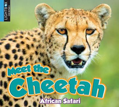 Book cover for Meet the Cheetah