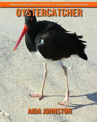 Book cover for Oystercatcher